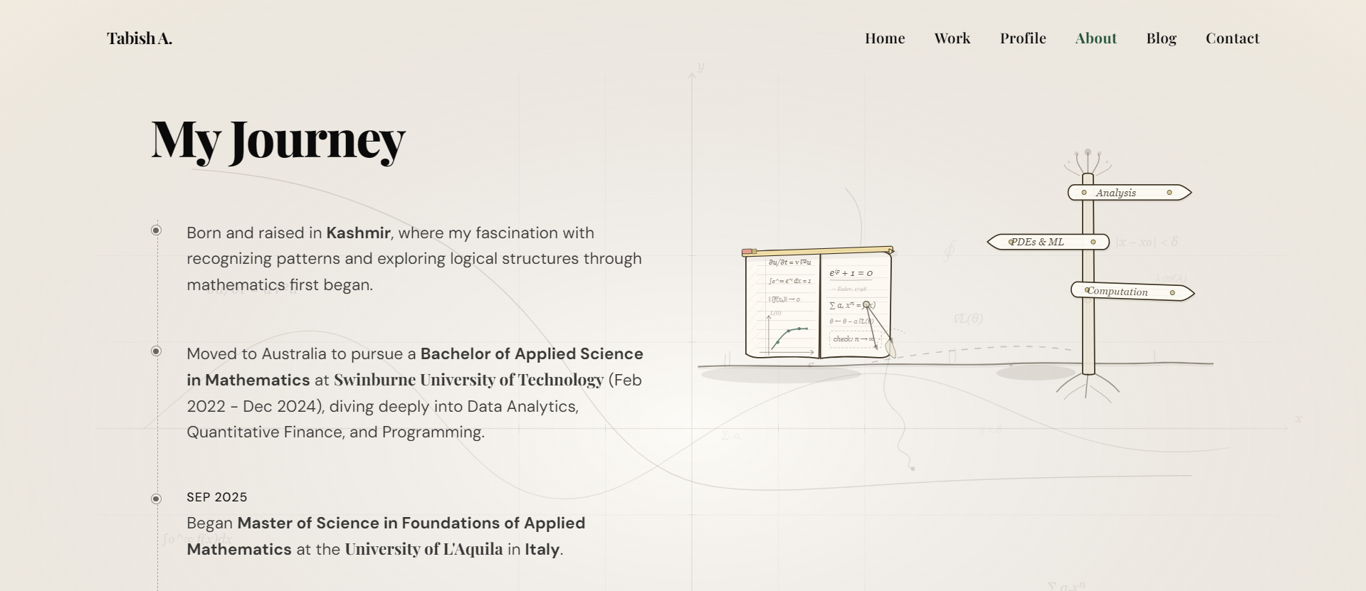 Academic Portfolio — Tabish Ali screenshot 2
