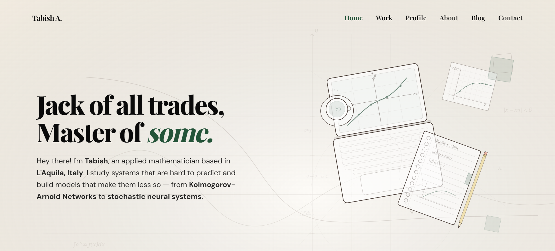 Academic Portfolio — Tabish Ali screenshot 1